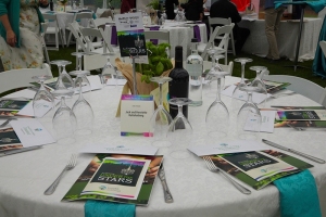 2026-Stars-Gala-54