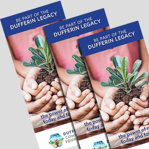 Find out about DCF – Brochure