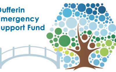 Announcing Emergency Support Fund Grants