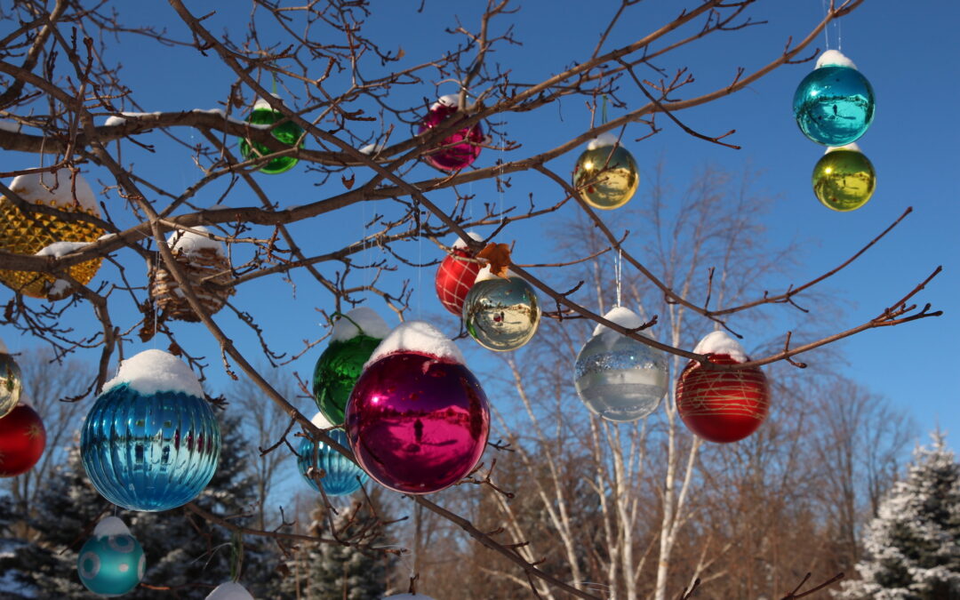 This holiday season, choose the fund that’s closest to your heart.