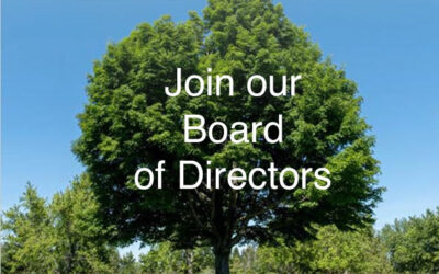 Want to make a lasting difference in Dufferin County? Join our Board of Directors!