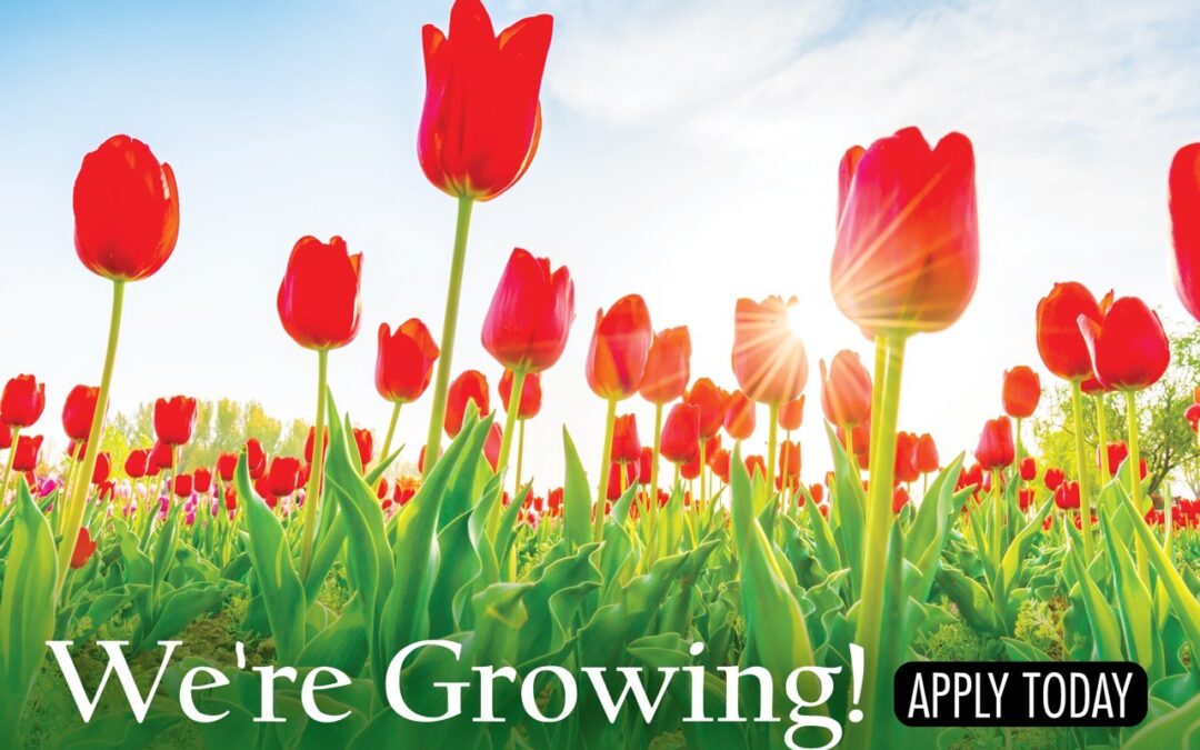Make a difference every day as our Administration & Communications Coordinator
