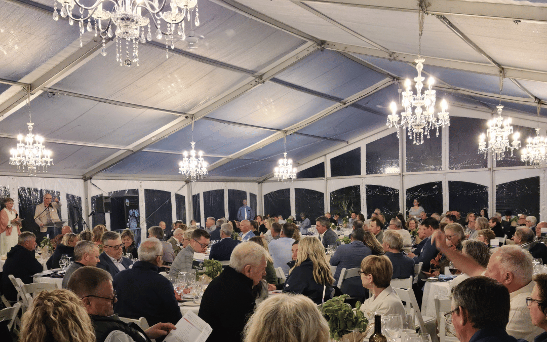 The Night Shone Bright at the Stars Gala
