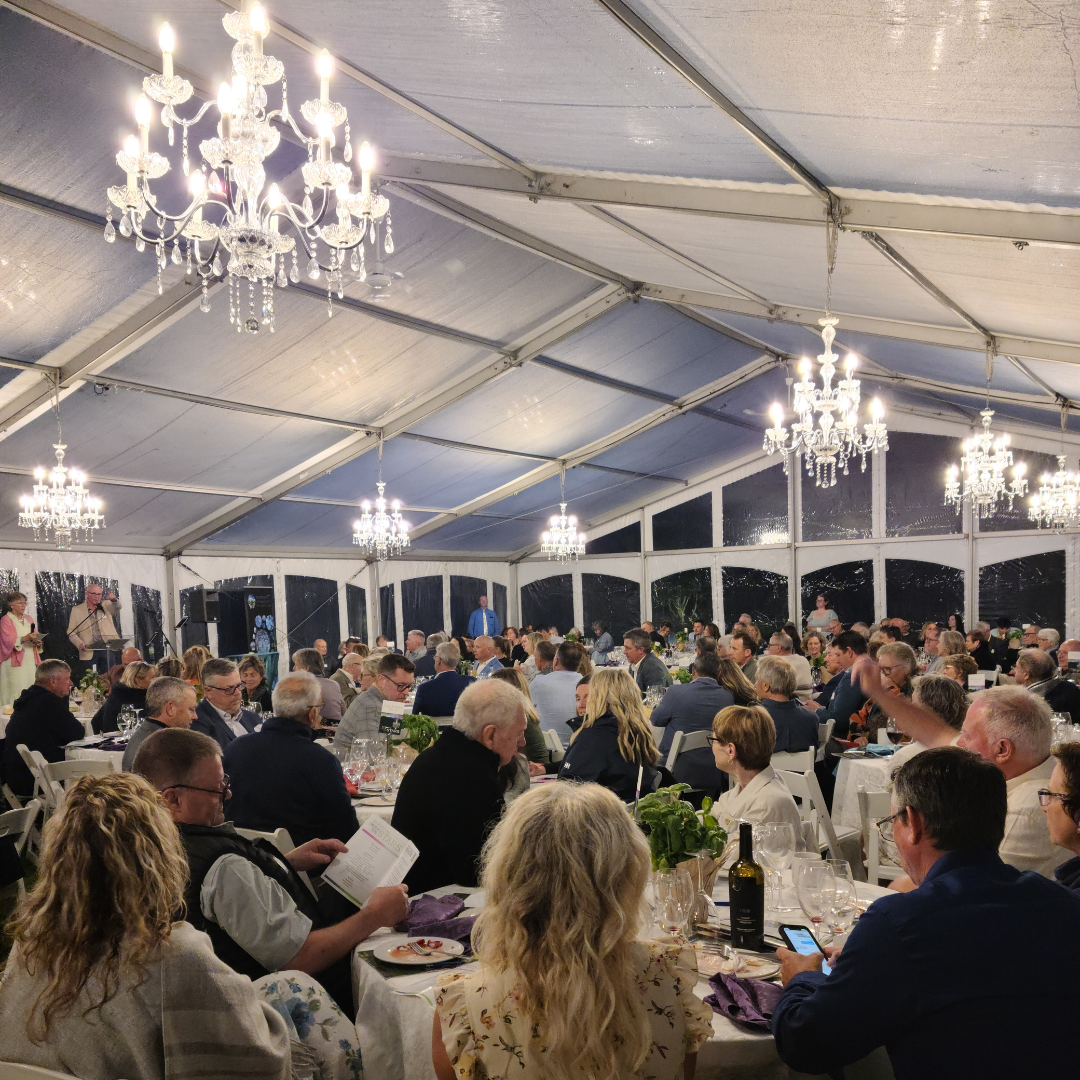 people dining inside a beautiful tent