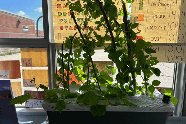 Growing Food Literacy One Classroom at a Time