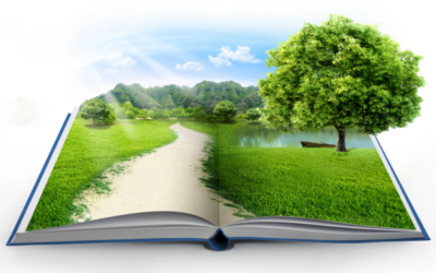 Making Environmental Education Accessible for Every Student