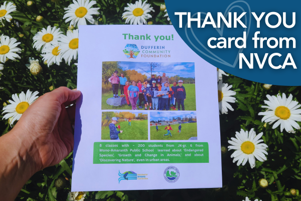 A photo of a thank you card from the  NVCA to DCF